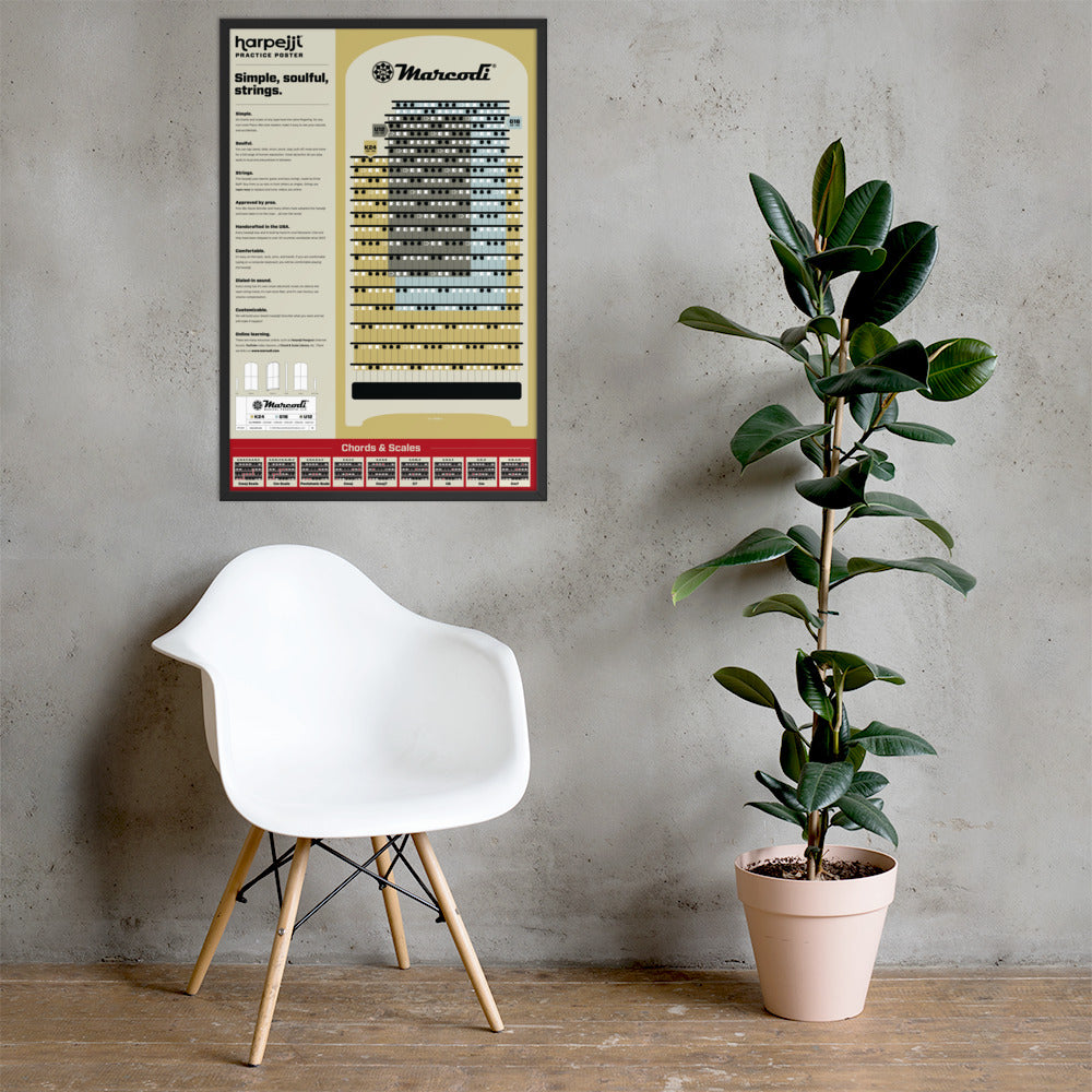 Framed Harpejji® Practice Poster