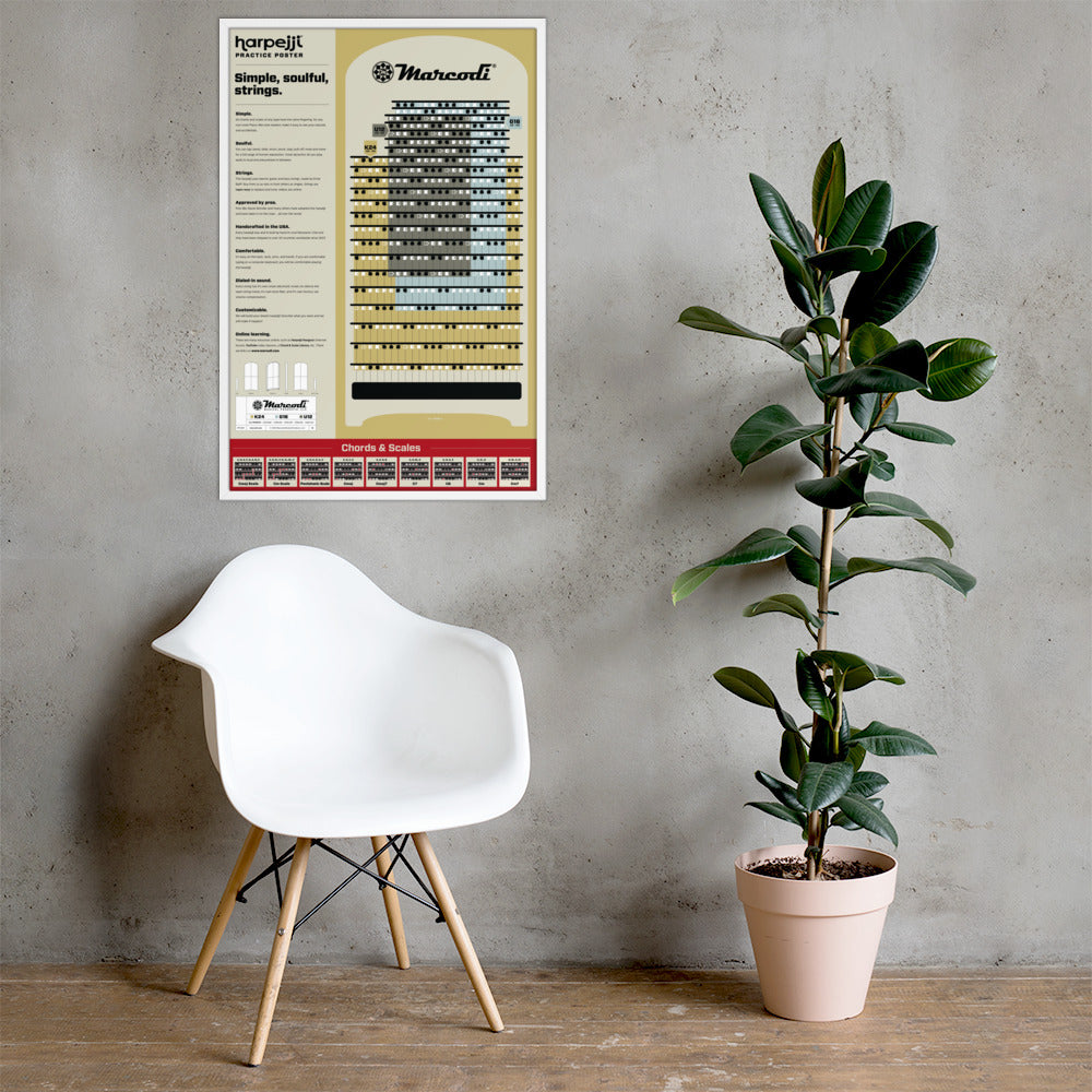 Framed Harpejji® Practice Poster